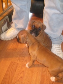 Our little black mask girl with her sister