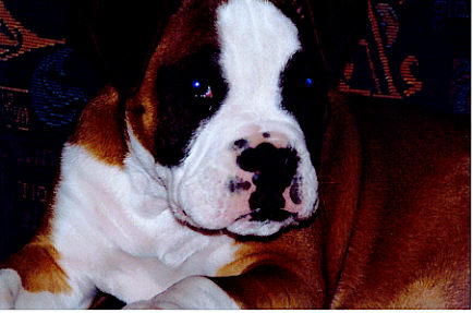 Our Little boy Kaiser
