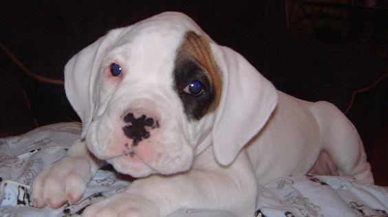 Our Little Girl
