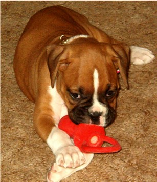 Our Little Girl!