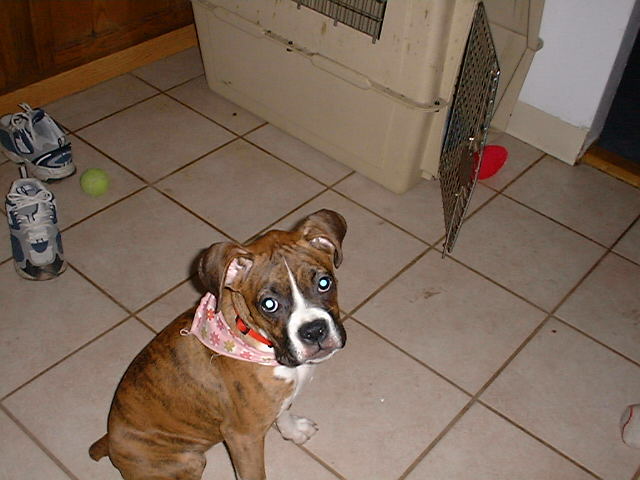 Our little Lady