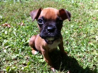 Our little Sky!
