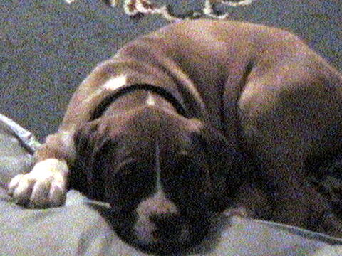 OUR LITTLE SWEETIE