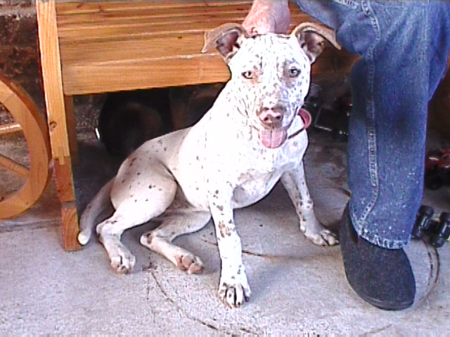 Our little trey, who we named Dottie...