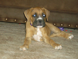Our Love, Kori