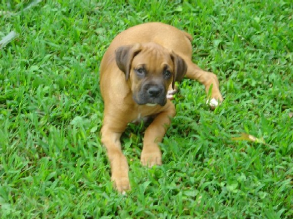 Our New Addition