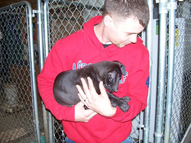 Our new addition!