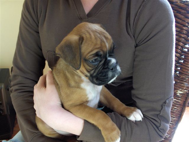 Our new addition