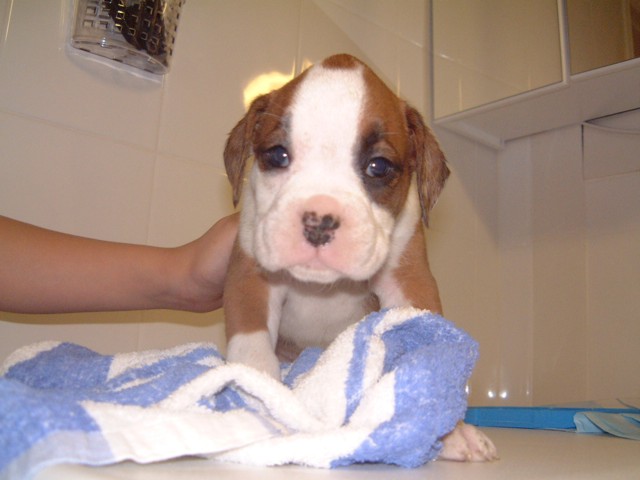 Our new Babe!