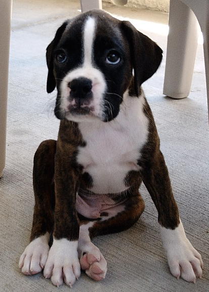 Our new baby boy!!!