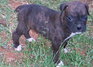 Our new Baby Girl "Leyna Von Unz"