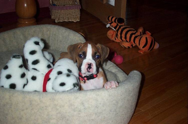 Our New Baby Girl