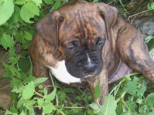 our new baby girl