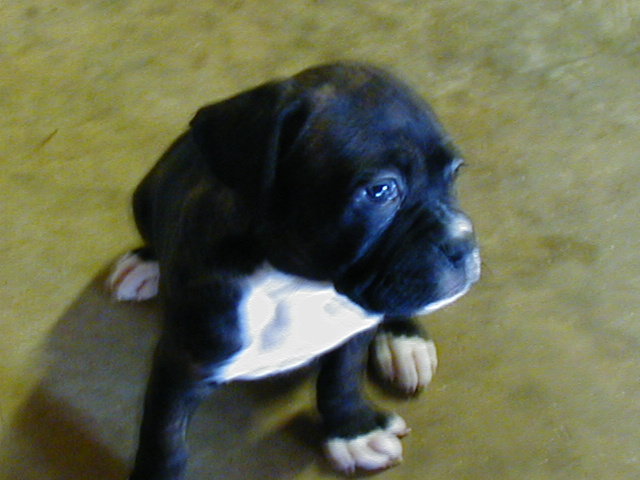Our New Baby Girl