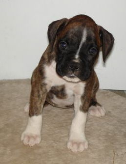 Our new baby girl