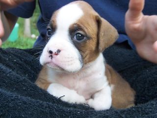 Our new baby girl