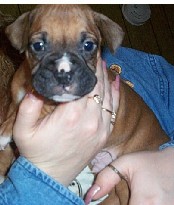 Our new baby Jake