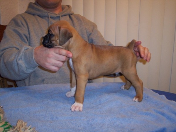 Our New Baby!