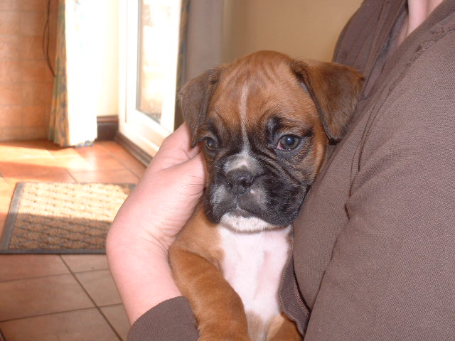 Our new baby