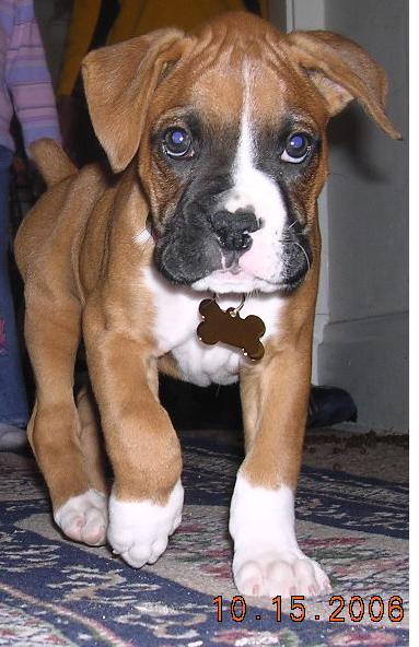 Our new baby