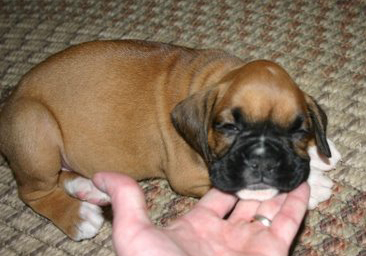 Our new baby!!