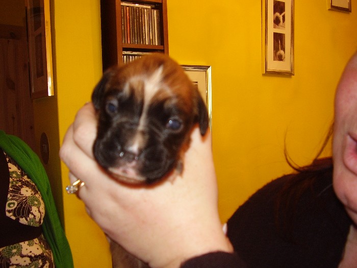 Our new baby