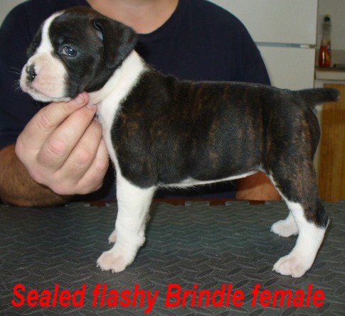 Our new baby