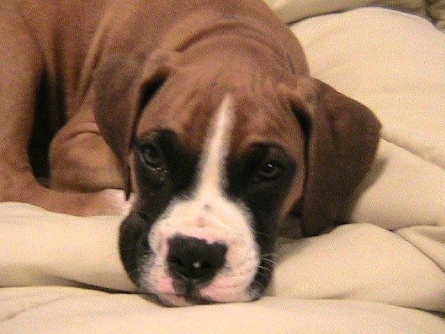 Our new cutie pie!