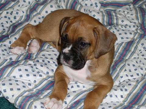 Our New Girl, Tia
