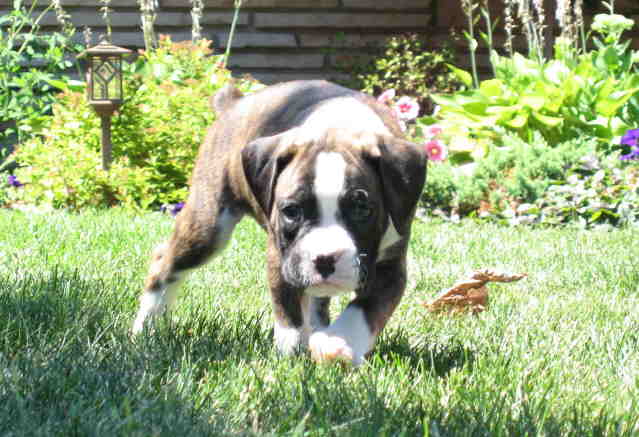 Our new little boy