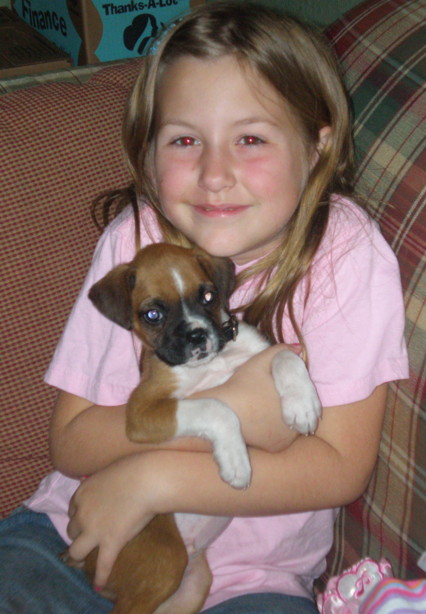 Our new puppy