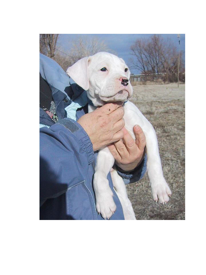 Our new rescue