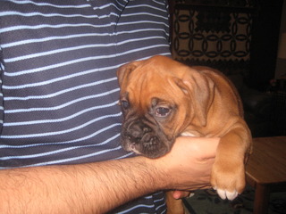 Our "no name" little girl