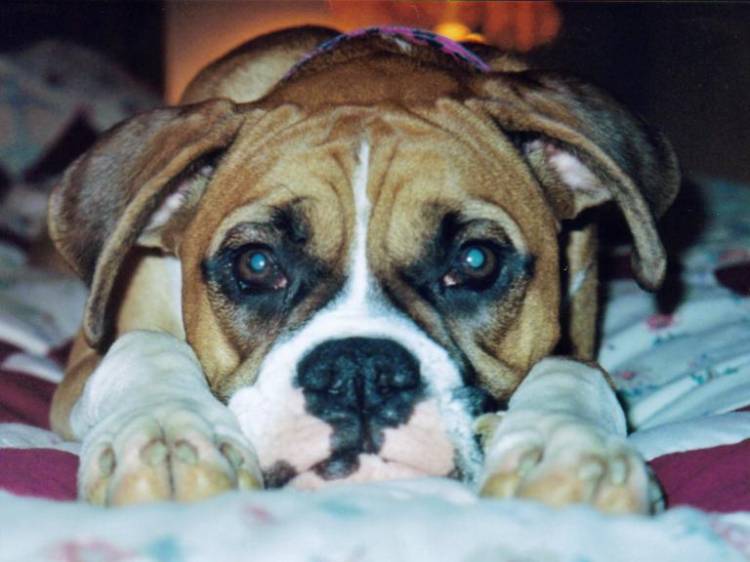 Our Pretty Baby Girl