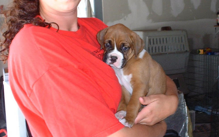 Our puppy (6 weeks)