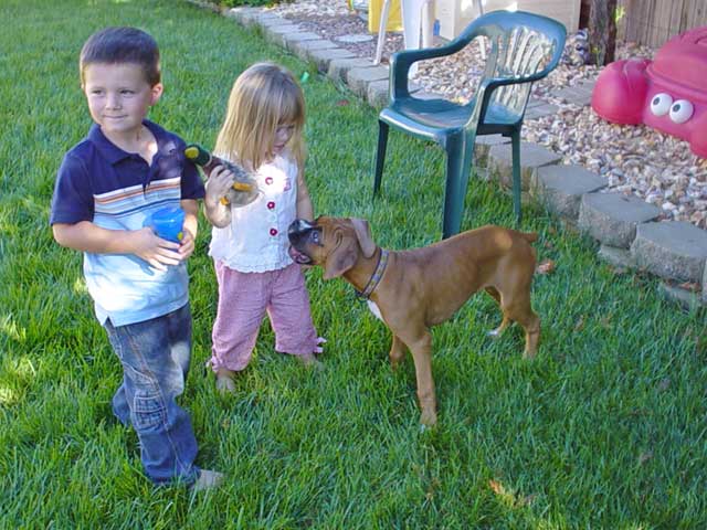 Our pups