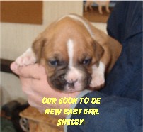 Our Soon to Be Baby Girl!