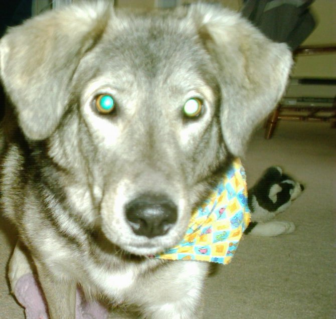 Our special girl Happy