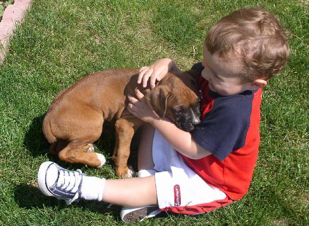 Our Two Boys