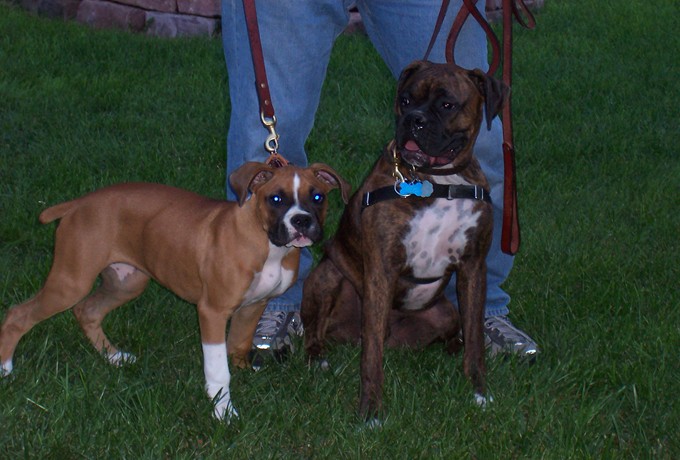 Our_Babies_