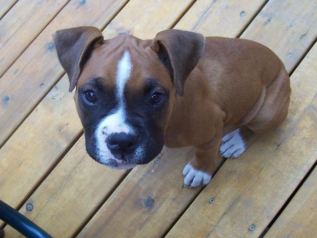 Our_Girl_Riley