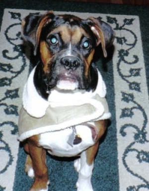 OurBabies09