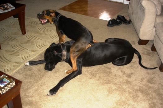 OurBabies11