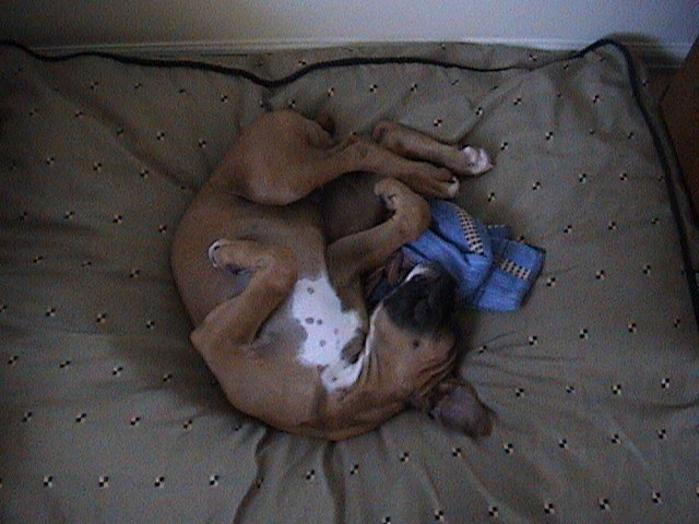 out cold part 2