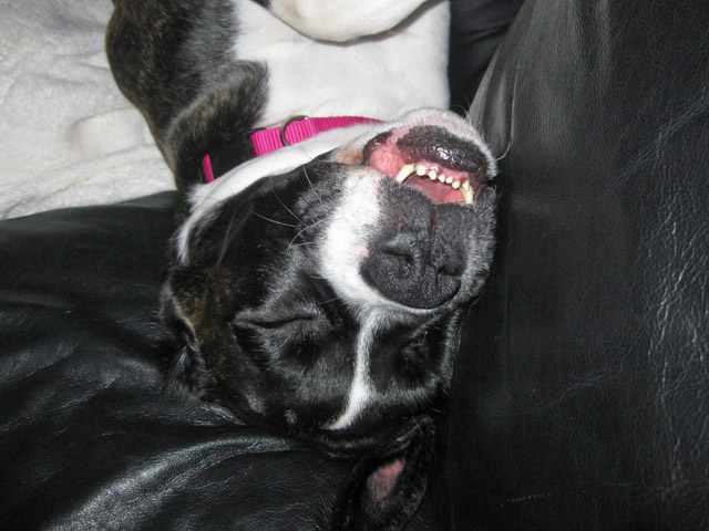 Out Cold Sleeping