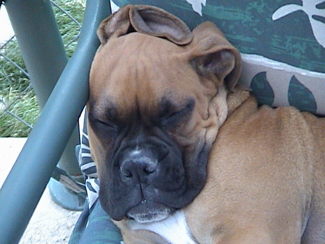 out cold