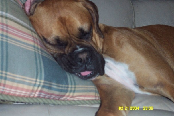 Out cold