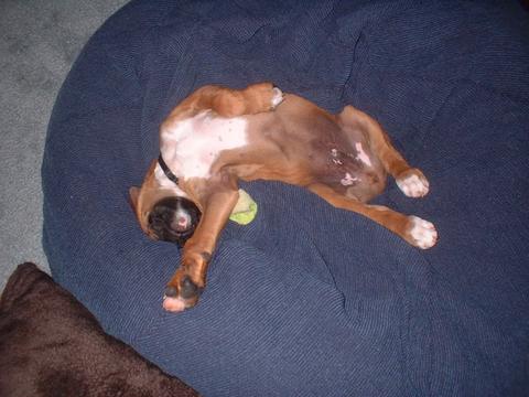 Out Cold!