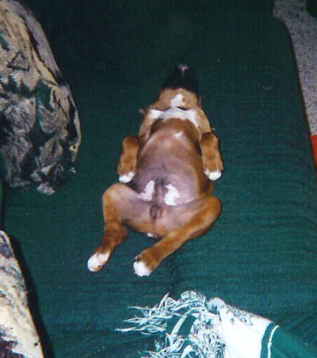 Out Cold