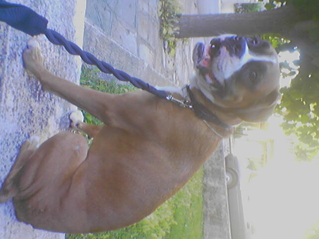 out for a walk